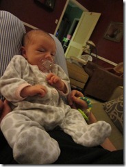 Zoey chilling on Daddy's lap2
