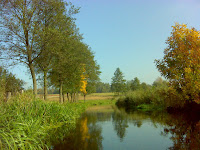 DSC06915.JPG Photo