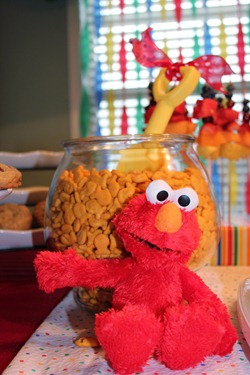 Sesame Street Party