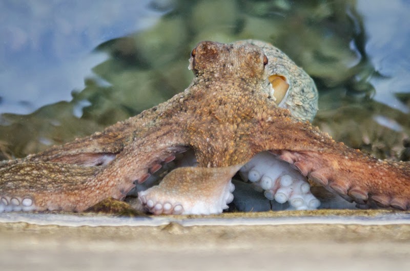 [A%2520day%2520in%2520Nice-108%255B3%255D.jpg]