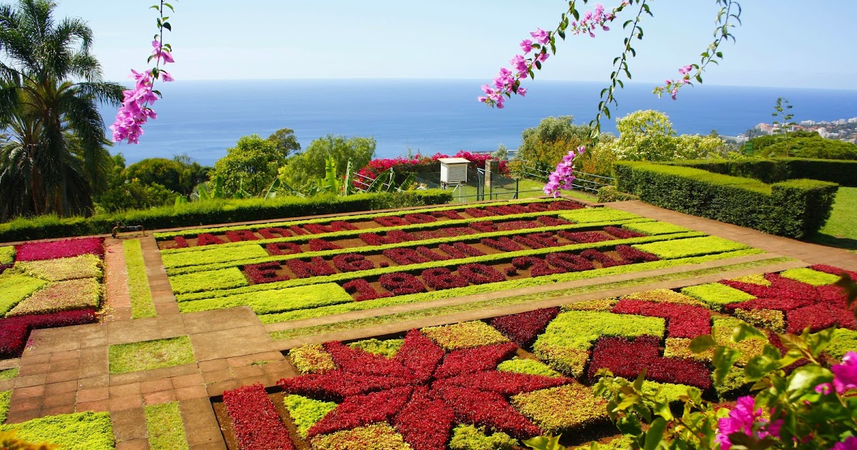 Blumeninsel im Atlantik Botanischer Garten