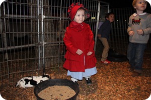 IMG_0477e