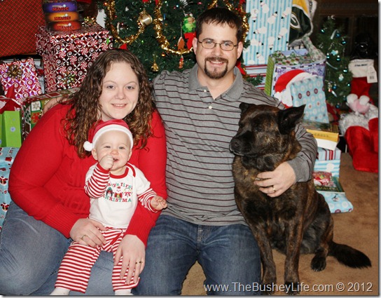 famchristmas1 famchristmas1