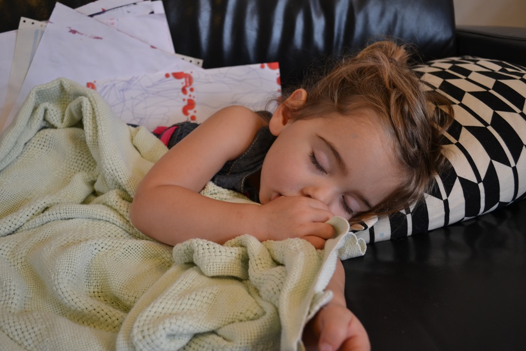 [DSC_0048-002%255B5%255D.jpg]