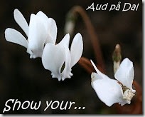 Vis din__3 Vis din__3