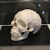 IMG_0844.JPG