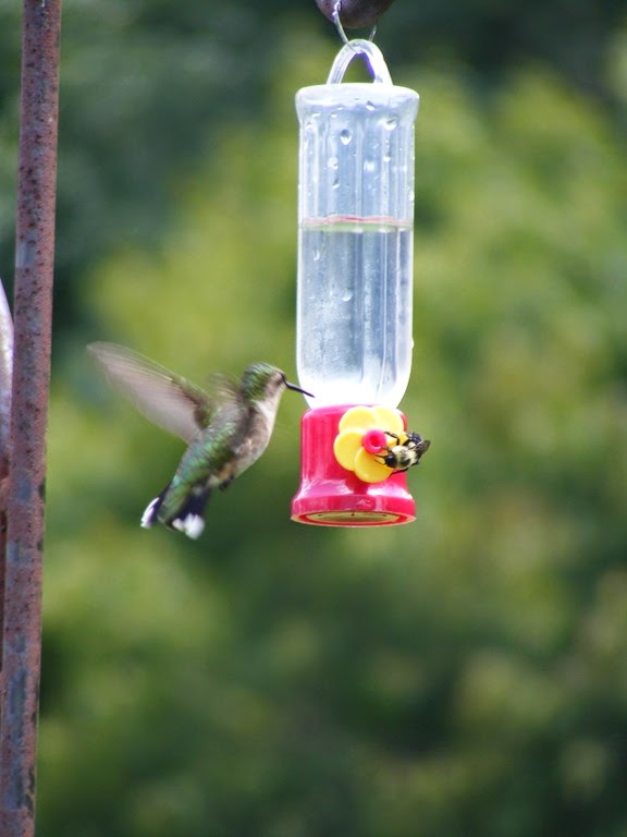 [DSCF4390%255B4%255D.jpg]