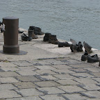 Shoe Holocaust Memorial.jpg Shoe Holocaust Memorial.jpg