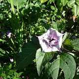 P1040006.JPG