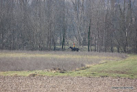 IMG_9427.JPG Photo