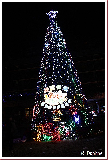 IMG_1633 IMG_1633