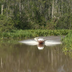 Ruhestörer in voller Fahrt