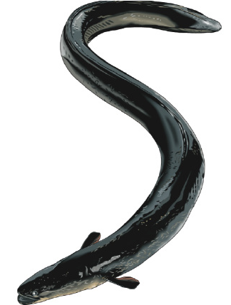 [image%255B2%255D.png]