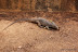 Natura :: Img0232.jpg