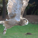 Cub Pack Holiday - Skreens Park 2012 - DSC_0171.jpg