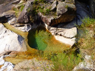 [P1190454%255B1%255D.jpg]