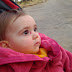IMG_20120122_170220.jpg
