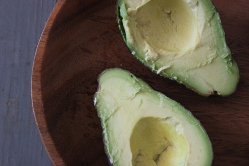 Avocado Quesadilla Avocado Quesadilla