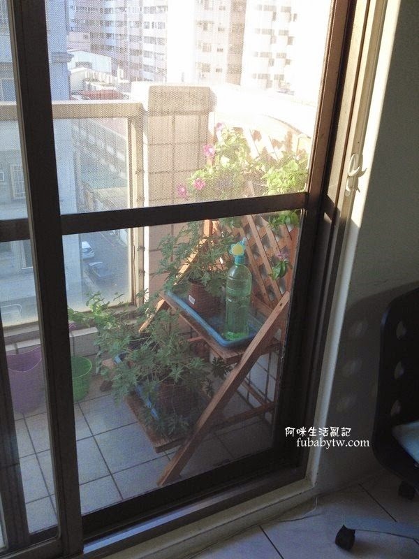 調整大小IMG_6594 調整大小IMG_6594