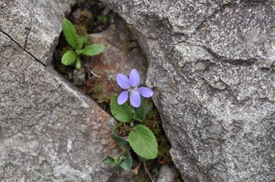 DSC_0095 DSC_0095