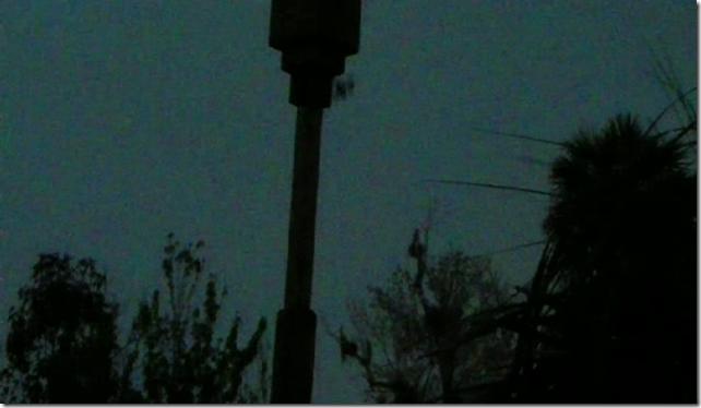 snapshot_003 snapshot_003