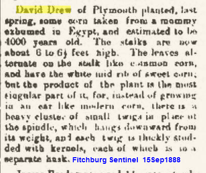 [Drew-David-plants-ancient-corn-18884.png]