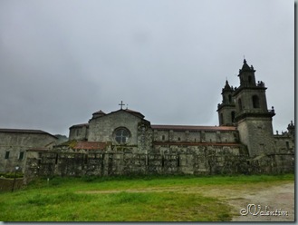 P1030803 P1030803