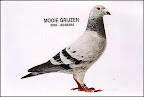 Algunas de Las Palomas Famosas de Todos Los Tiempos. Slideshow