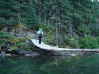 glacier_national_park_-_2009