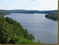 IMG_2665 IMG_2665