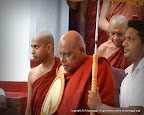 Most Ven Ariyadhamma Maha Thero