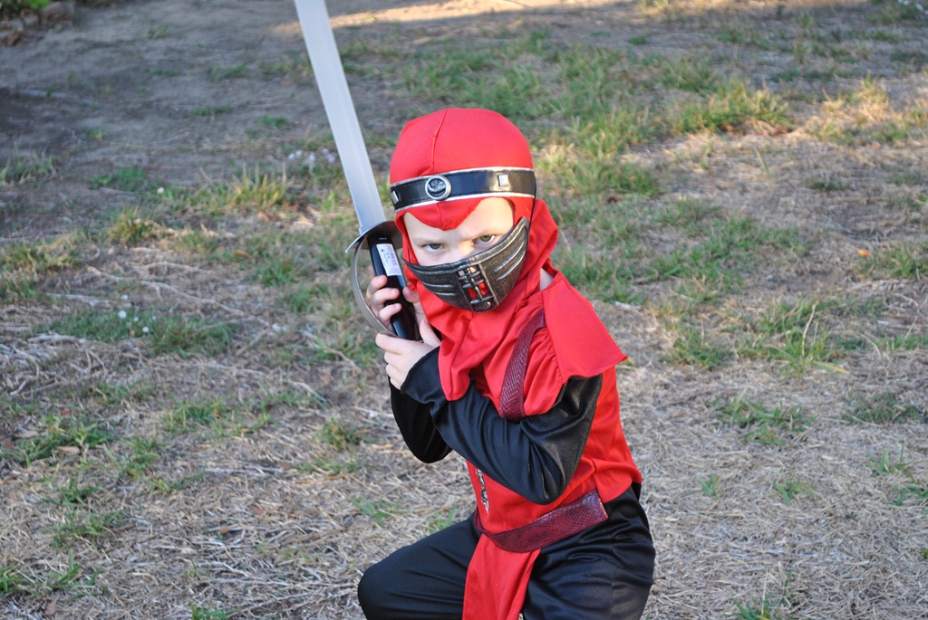 [DSC_7531%255B4%255D.jpg]