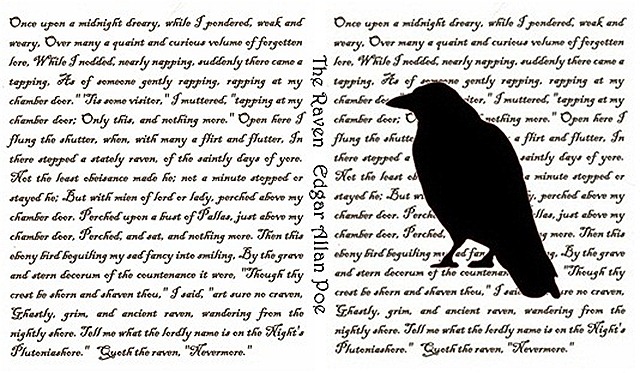 Confessions of a Plate Addict's Raven book cover raven book cover 2