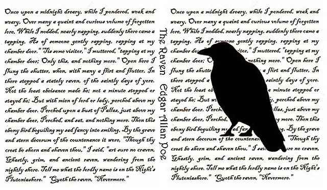 raven book cover 2