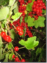 IMG_9708 IMG_9708