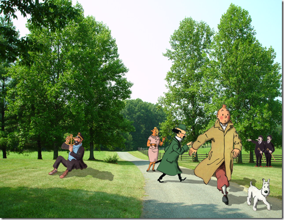 Tintin (8) Tintin (8)