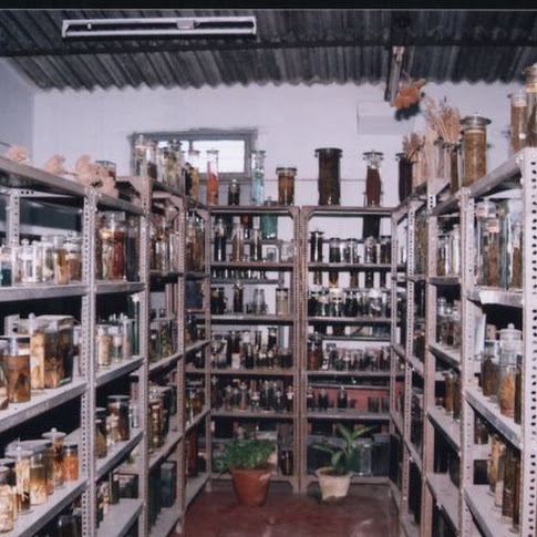 Zoology-Museum.jpg