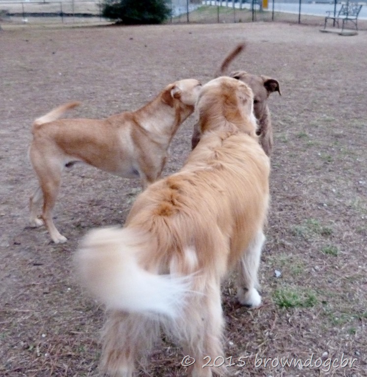 [P1490145%255B9%255D.jpg]