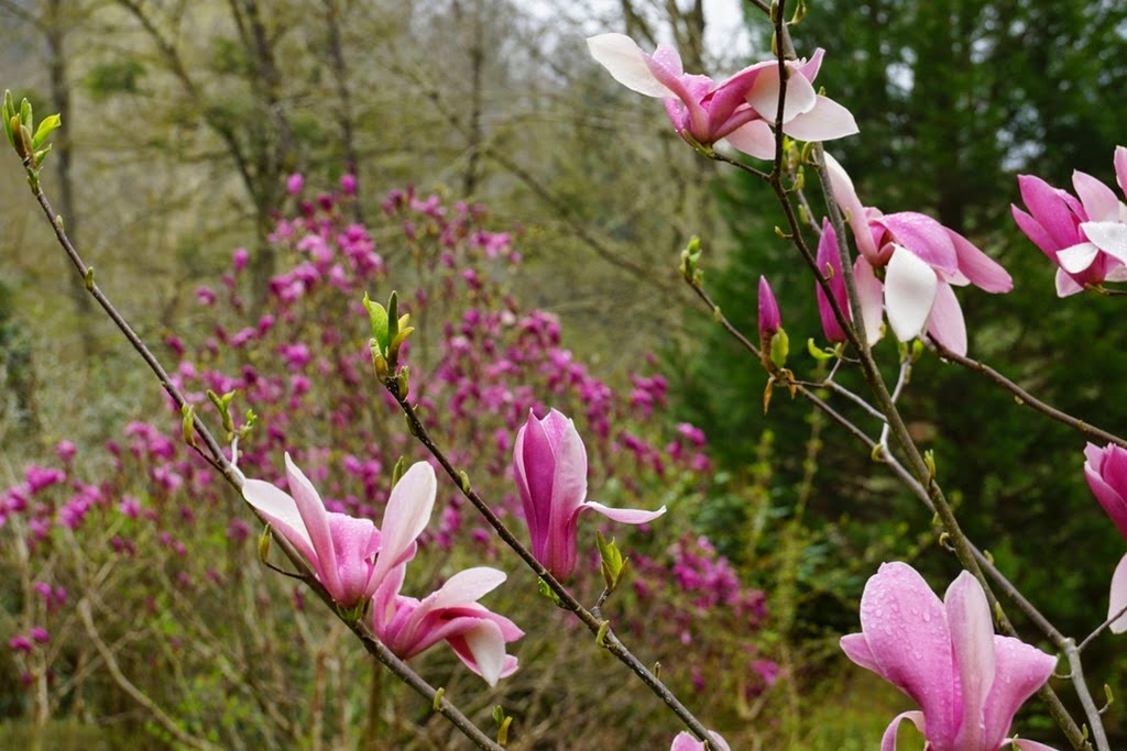 [DSC05758%255B3%255D.jpg]