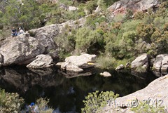 20110404_31 20110404_31