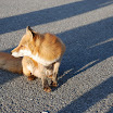 hokkaido_241.jpg