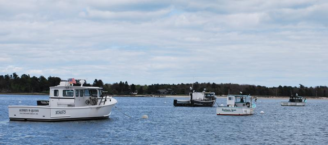 Part of the fleet of fishing boats moored at Pine Point in Scarborough, Maine. In Spring 2012, Lobstermen there and across southern Maine report an earlier shed in the lobster population than they've ever seen, but are unsure what that means for the rest of the season. Mario Moretto / The Forecaster