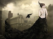Raven Flying And Beauty