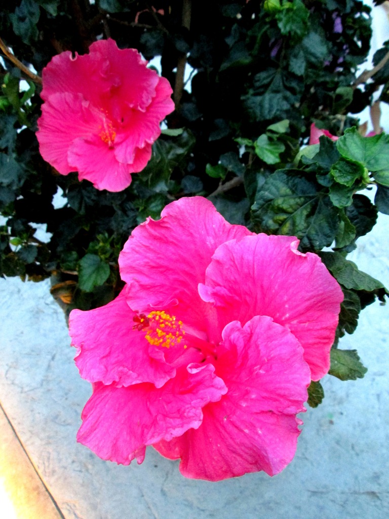 [IMG_1640%255B7%255D.jpg]