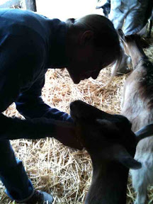 A little chin rub down
