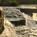 IMG_3332.JPG