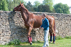 Mmmmmm who's that little mare!