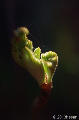 068 (425x640) 068 (425x640)