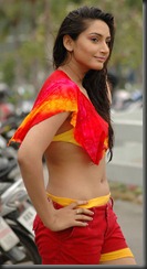 ragini-dwivedi-latest-sexy-spicy-pics