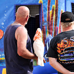 STAC_Festival_2009-174.jpg